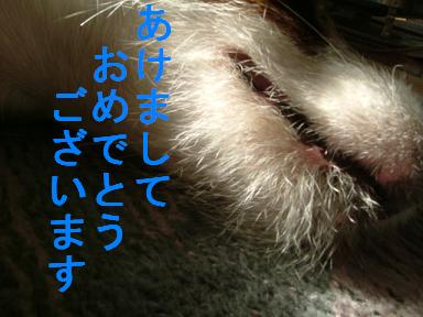 a0017817_7385681.jpg