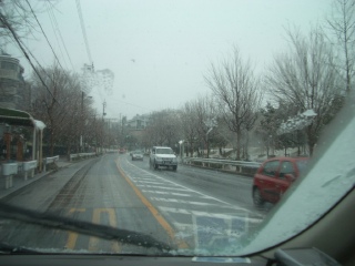 b0050356_2405746.jpg