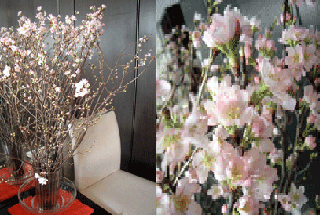 b0037160_13543592.gif