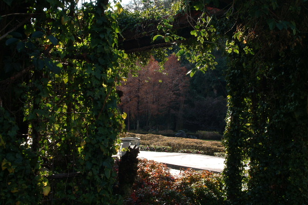 b0027880_10463251.jpg