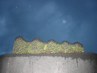 a0027290_8173722.jpg