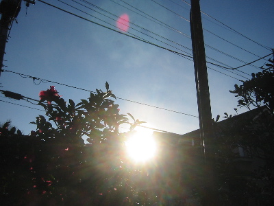 a0027290_8215639.jpg