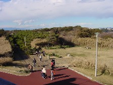 c0008598_19455039.jpg