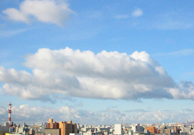 c0008209_14503961.jpg
