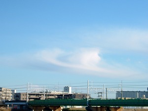 a0034419_11372731.jpg