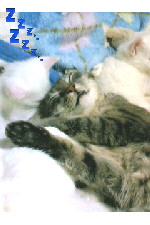 c0011446_16564353.jpg