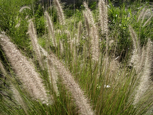 b0042293_225484.jpg