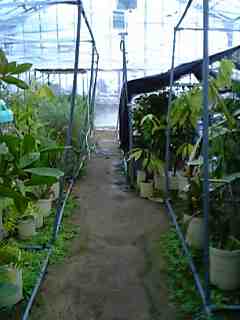 b0035100_15302689.jpg