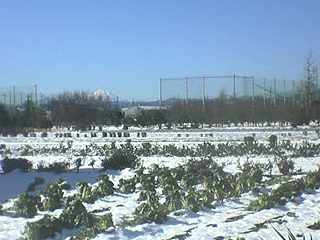 a0006321_22291829.jpg