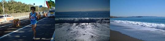 b0046527_16155139.jpg