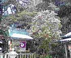 b0029438_1485211.jpg