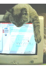 c0011446_1471176.jpg