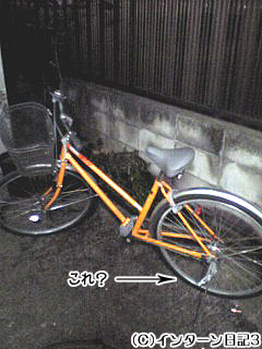 b0061047_17345363.jpg