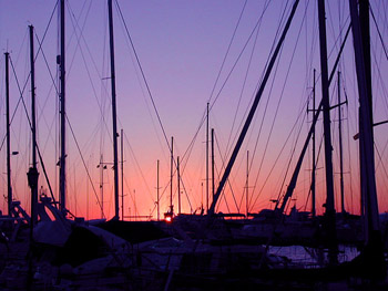 c0009070_6303452.jpg