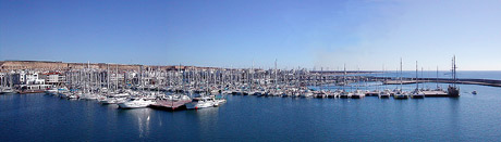c0009070_63108.jpg