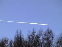 b0011185_20343558.jpg