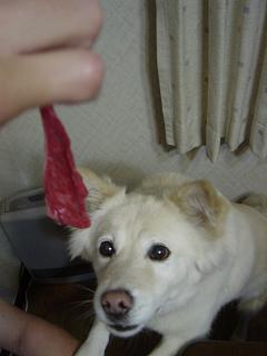 c0021898_22584965.jpg
