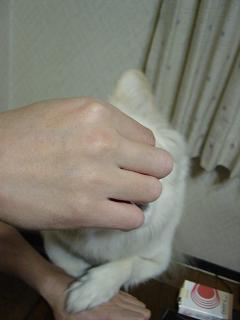 c0021898_2354061.jpg