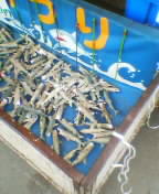 a0003032_23143614.jpg