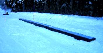 a0005233_1048035.jpg