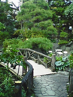 a0033438_16145433.jpg