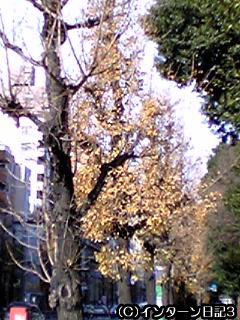 b0061047_20215342.jpg