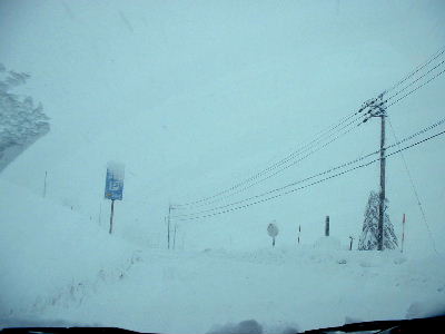 b0015260_1049392.jpg