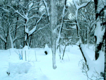 b0015260_11322450.jpg