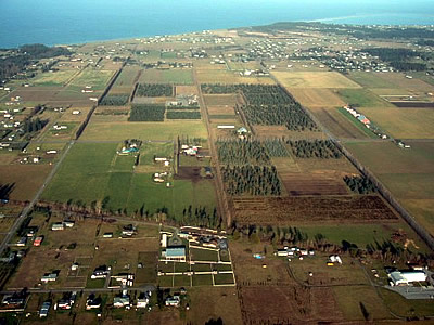 b0000372_4504575.jpg