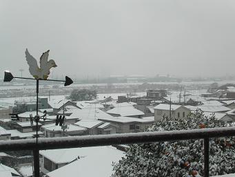 b0026385_14524762.jpg