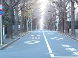 b0026385_15195062.jpg