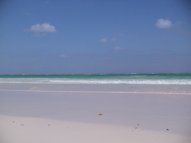 b0048976_22544092.jpg