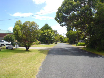 b0039397_0155535.jpg