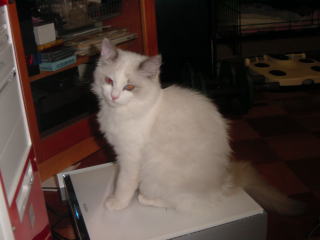 c0024410_23192947.jpg