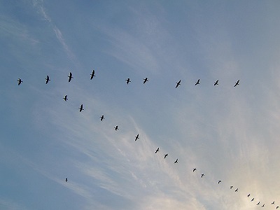a0034419_11563279.jpg