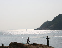 c0024729_752420.jpg