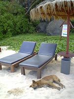 b0035763_205768.jpg