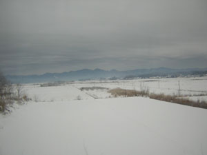 b0046664_21283446.jpg