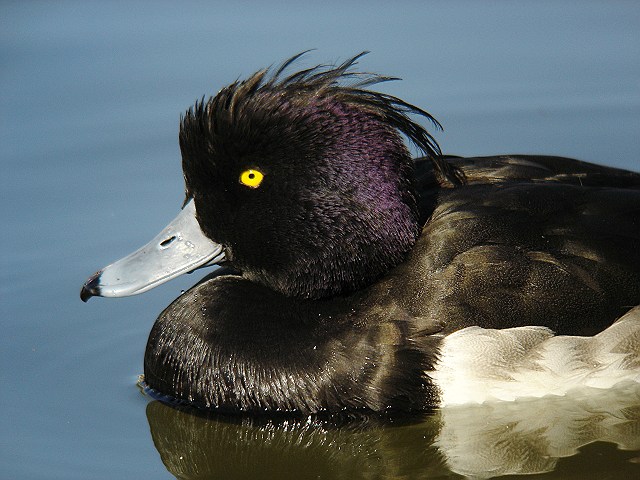 b0069564_1752370.jpg