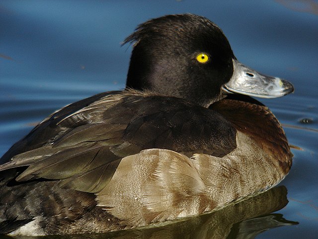b0069564_17545540.jpg