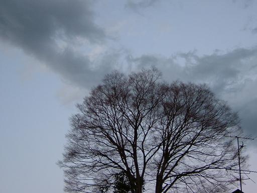 b0064679_197693.jpg
