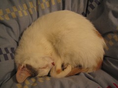 b0043897_10314657.jpg
