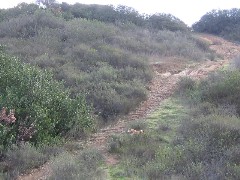 b0043897_11131615.jpg