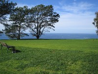 b0043897_2165467.jpg