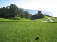 b0043897_2171687.jpg