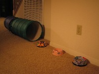b0043897_237390.jpg