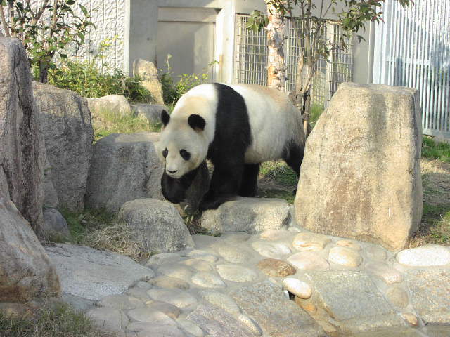 a0031718_21511992.jpg