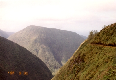 a0036334_225735100.jpg