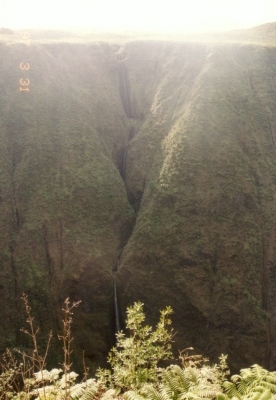 a0036334_22575257.jpg