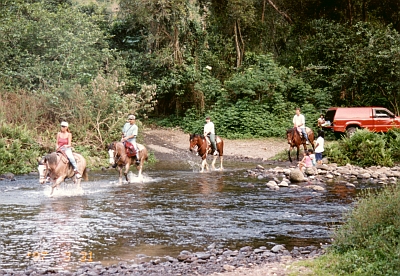 a0036334_2320414.jpg